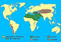 Verbreitungskarte-Kamel